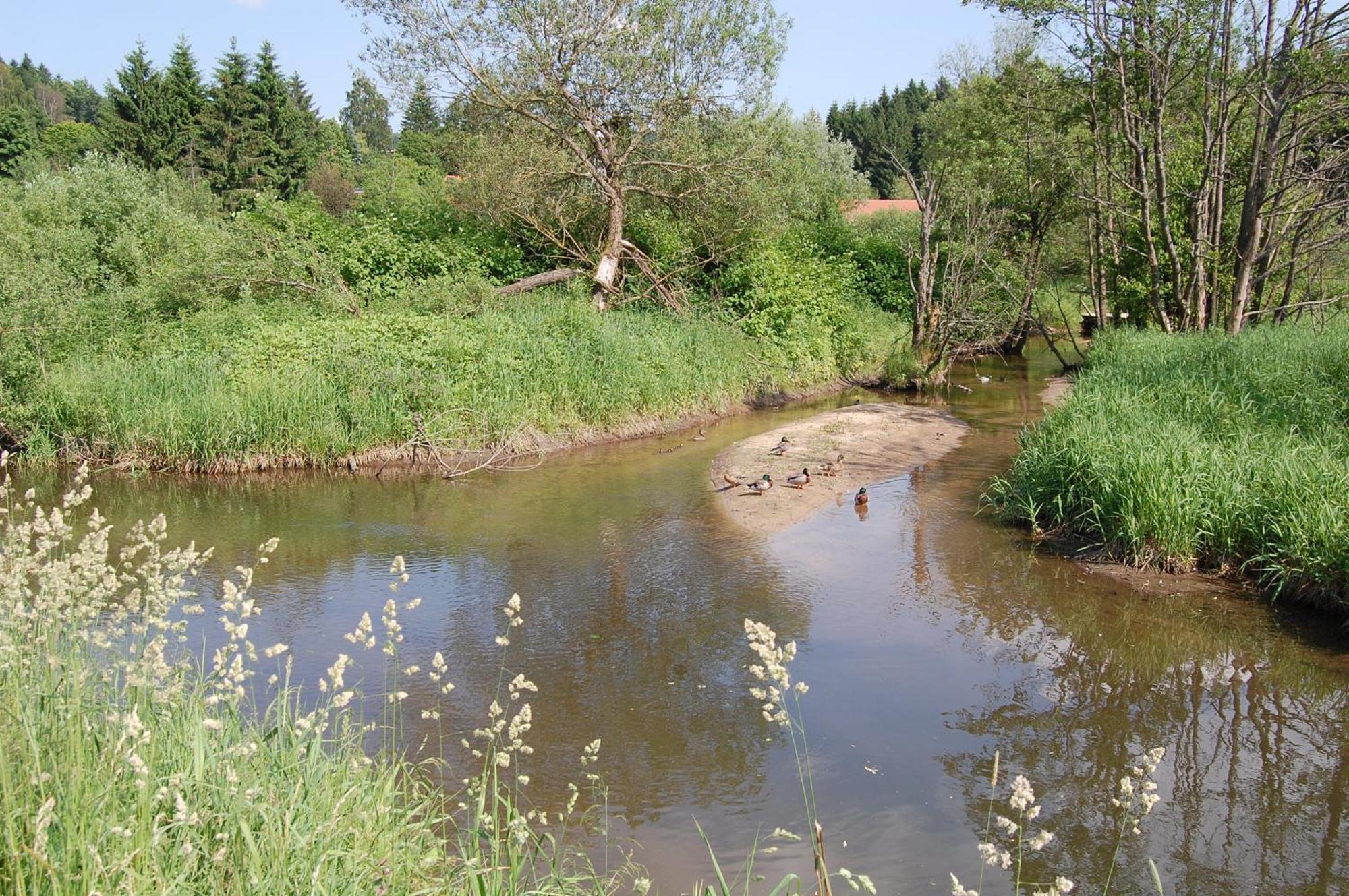 Ferienhaus Mit Seeblick Waldkirchen Eksteriør billede